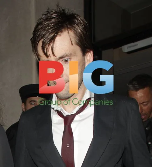 David Tennant at The Pirates! Premiere
