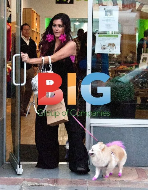 Snooki and JWoww Film Reality Show