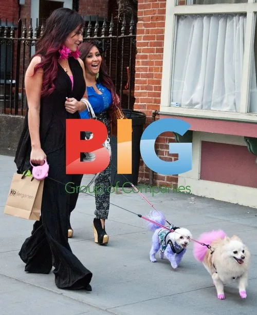 Snooki and JWoww Film New Show