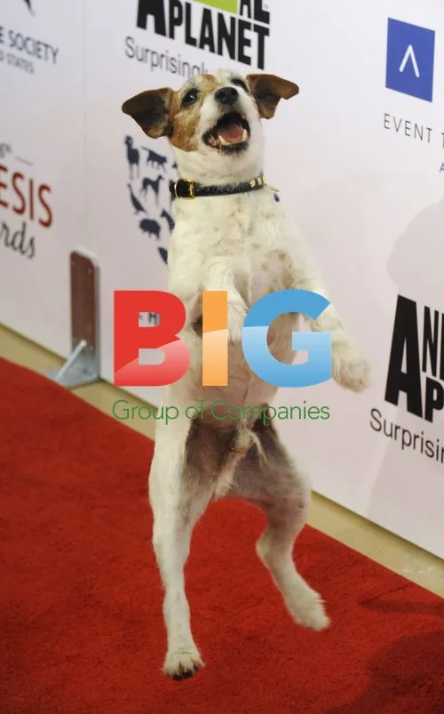 Uggie at 26th Genesis Awards