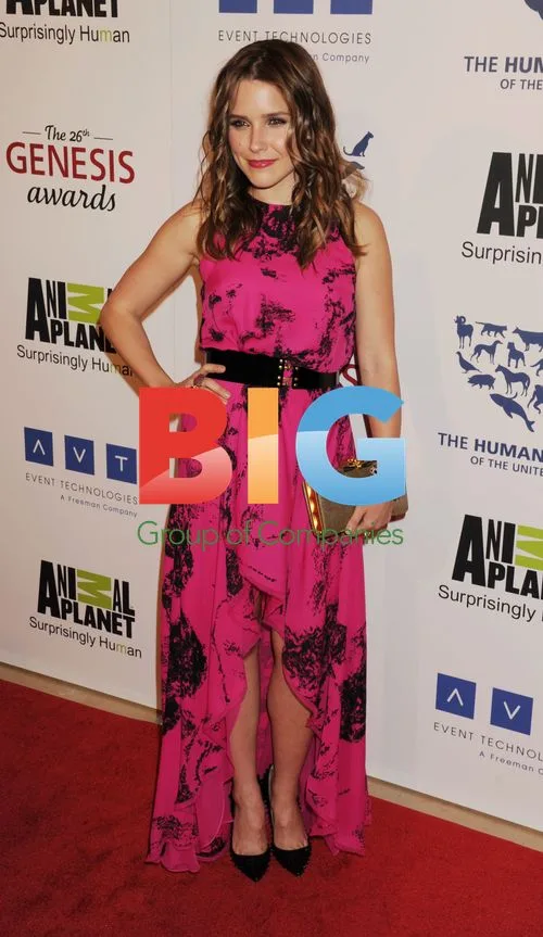 Sophia Bush at 26th Genesis Awards