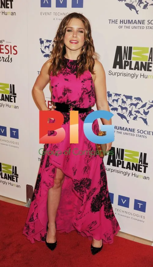 Sophia Bush at 26th Genesis Awards