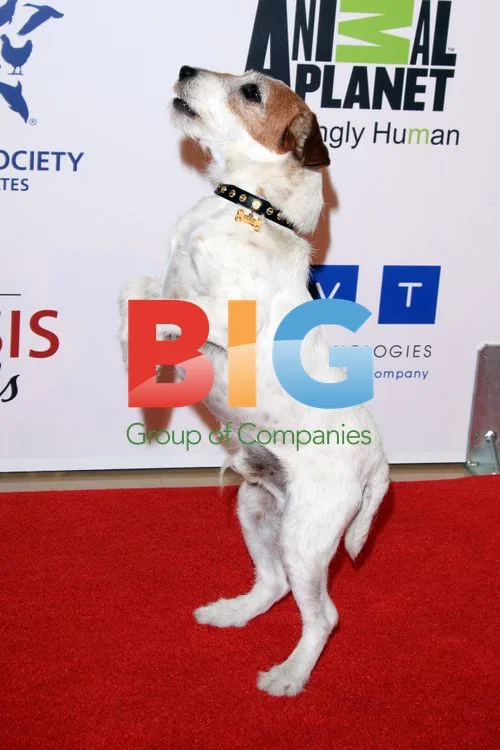 Uggie the Dog at Genesis Awards