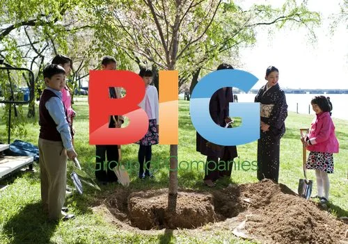 Michelle Obama Plants Cherry Tree