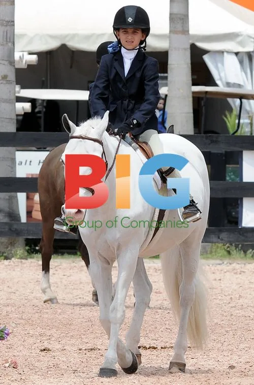 Jerry Seinfeld and sons at equestrian show