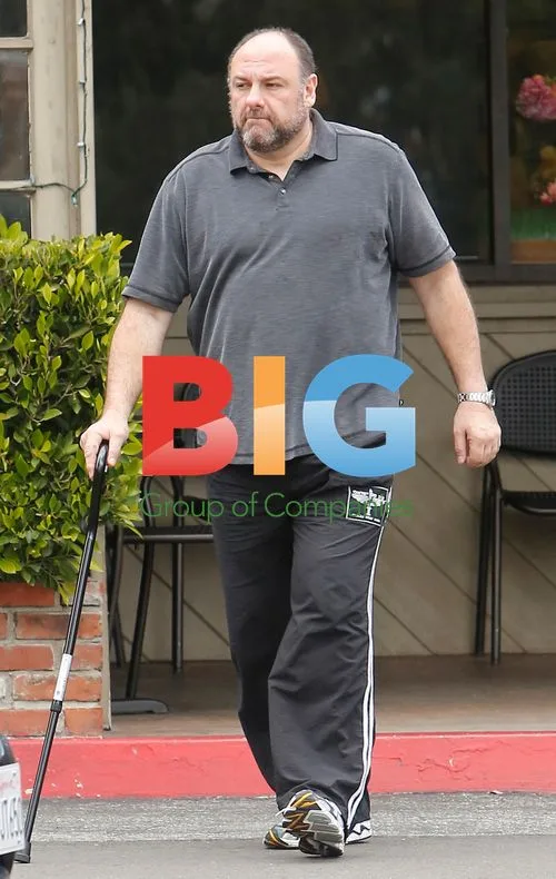James Gandolfini Injured, Walks With Cane