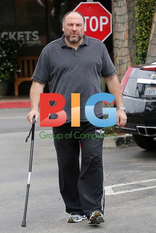 James Gandolfini Injured, Walking With Cane
