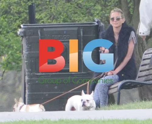 Sarah Harding Walking Dogs in London