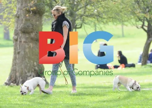 Sarah Harding Walking Dogs in London