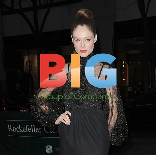 Coco Rocha at Christie's Green Auction