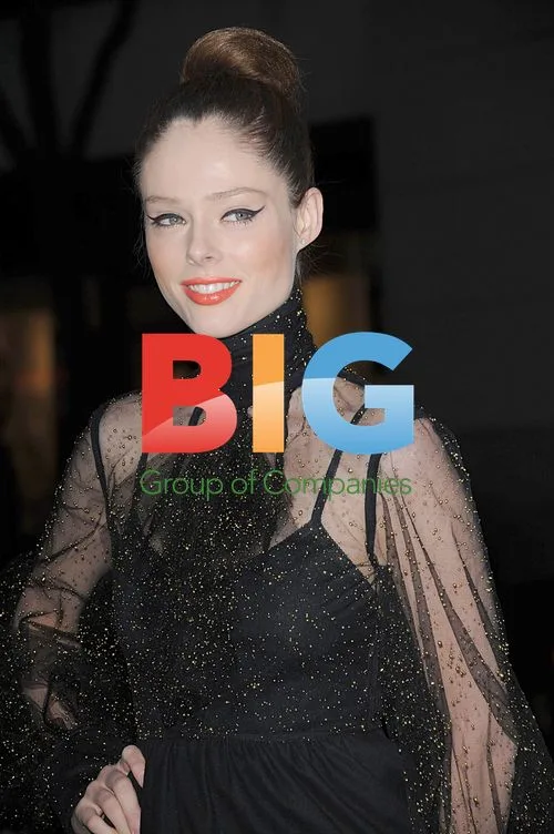 Coco Rocha at Christie's Green Auction