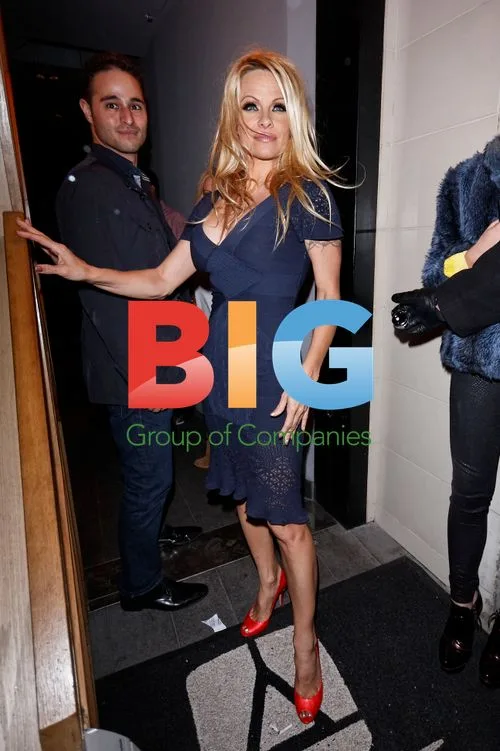 Pamela Anderson at DSTKRT Event