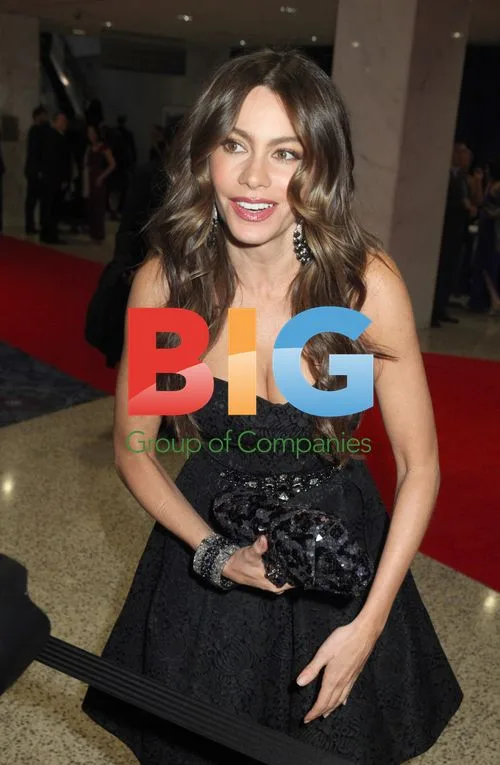 Sophia Vergara at White House Correspondents' Dinner