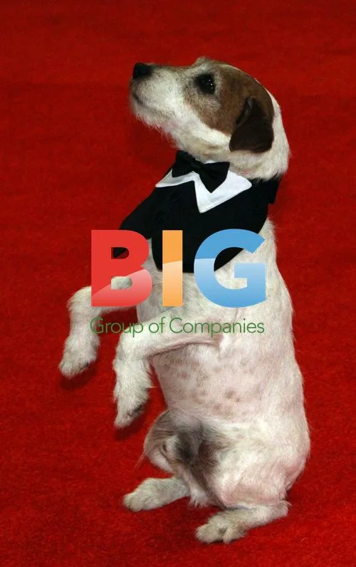 Uggie, The Artist Dog, Poses at Correspondents' Dinner