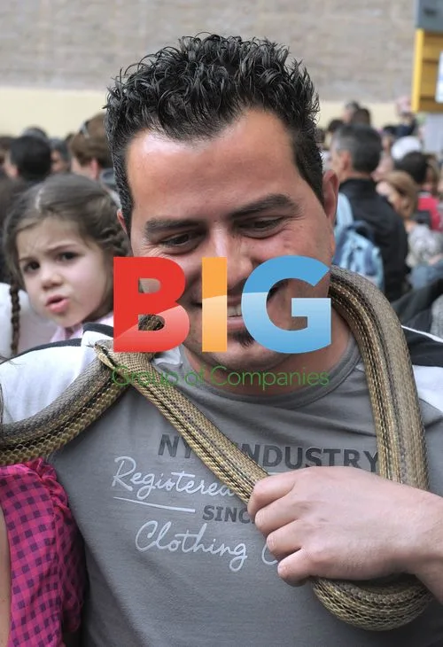 Annual St. Domenico's Procession in Cocullo, Italy