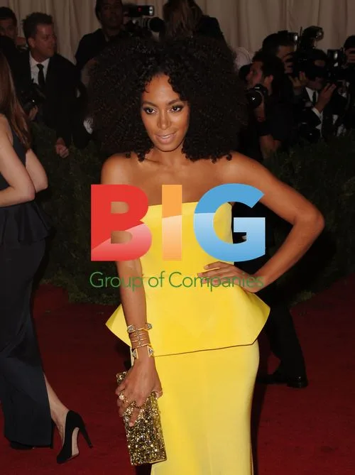 Solange Knowles at Costume Institute Gala