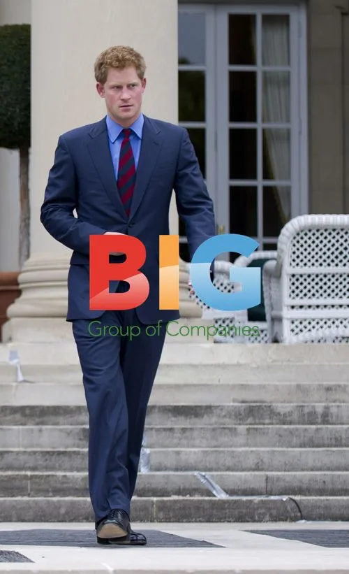 Prince Harry at British Embassy Reception