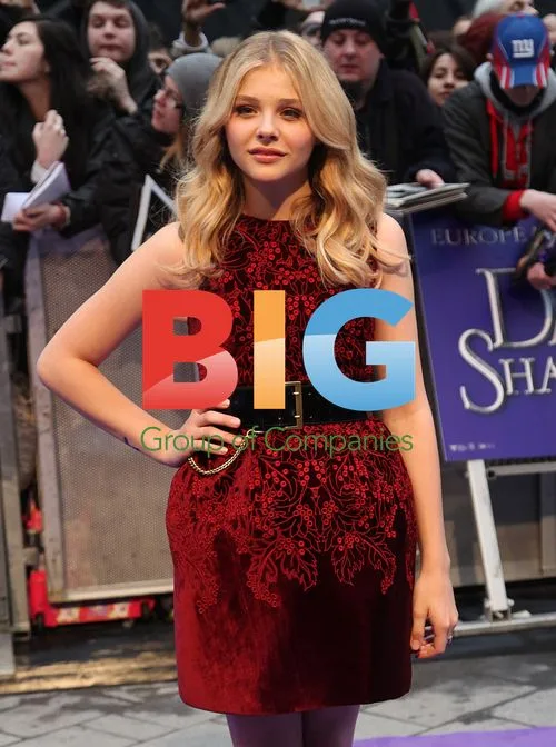 Chloe Moretz at Dark Shadows Premiere