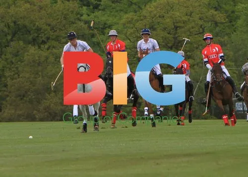 Prince William and Prince Harry Playing Polo