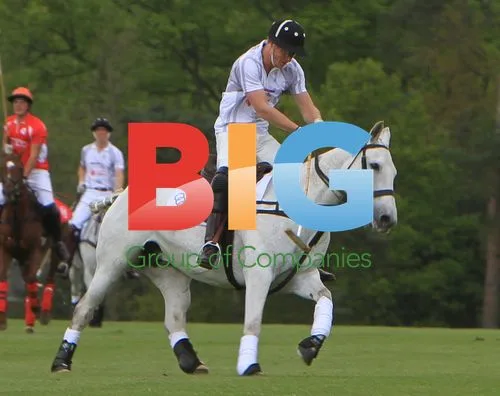 Prince William and Prince Harry Play Polo