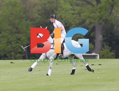 Prince William and Prince Harry play polo