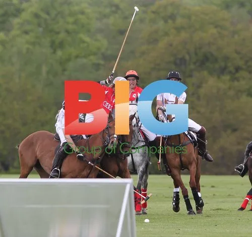 Prince William and Prince Harry Playing Polo