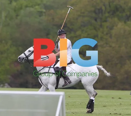 Prince William and Prince Harry Play Polo