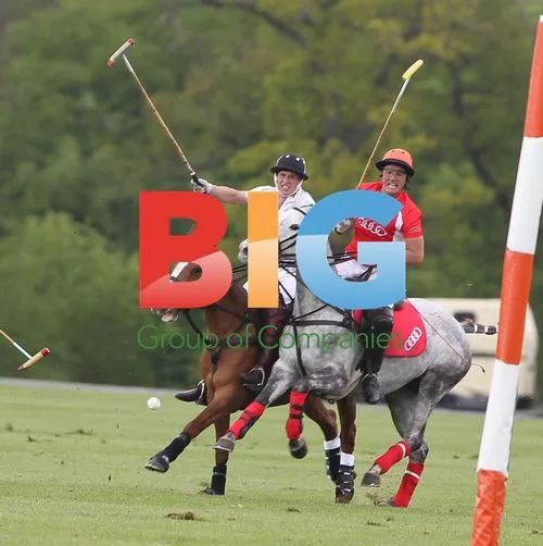 Prince William and Prince Harry Playing Polo