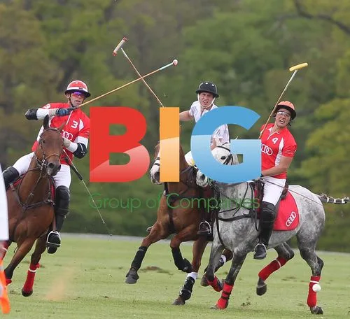 Prince William and Prince Harry Play Polo
