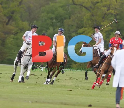 Prince William and Prince Harry Play Polo