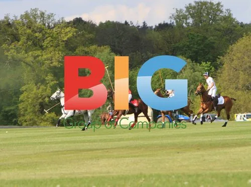 Prince William and Prince Harry Playing Polo