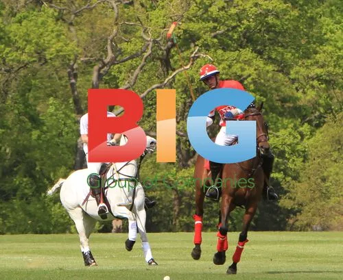 Prince William and Prince Harry Play Polo
