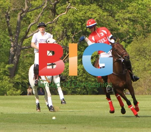 Prince William and Harry Play Polo