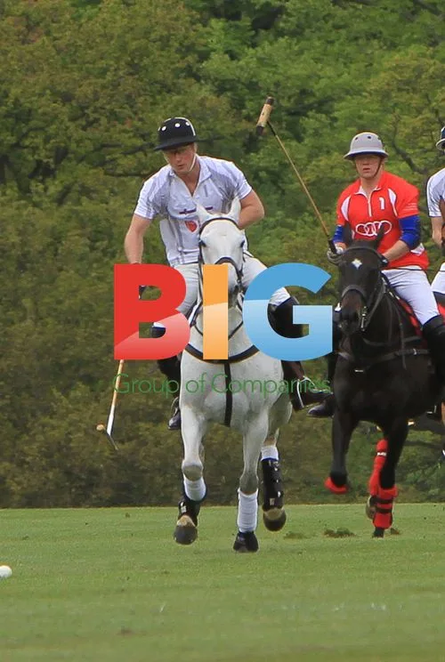 Princes William and Harry Playing Polo