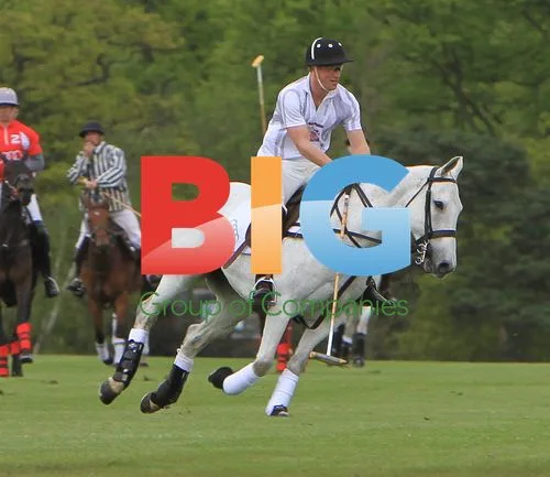 Princes William and Harry Playing Polo