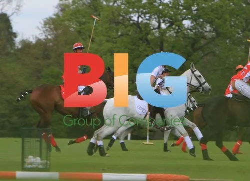 Prince William and Prince Harry Playing Polo