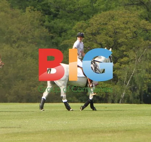 Prince William and Harry Play Polo