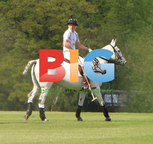 Prince William and Prince Harry playing polo