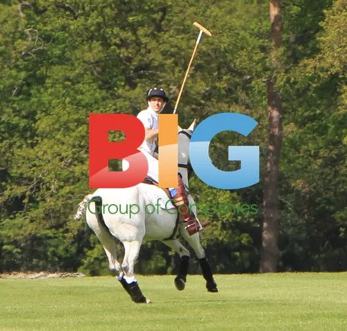 Prince William and Prince Harry Playing Polo