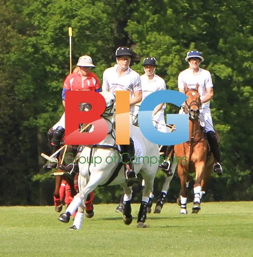 Princes William and Harry Play Polo