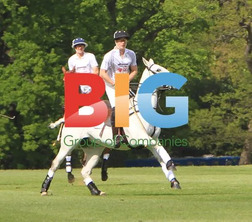 Prince William and Prince Harry Polo Match