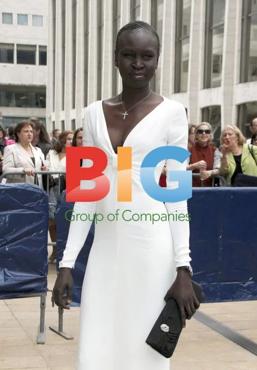 Alek Wek at American Ballet Theatre Gala