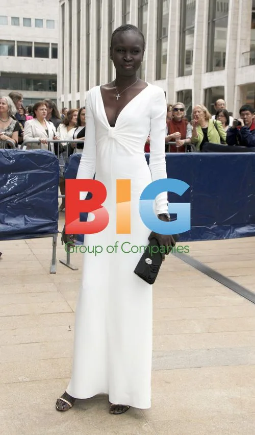 Alek Wek at American Ballet Theatre Gala