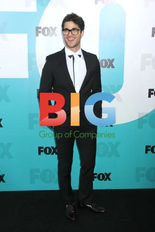 Darren Criss at Fox 2012 Party
