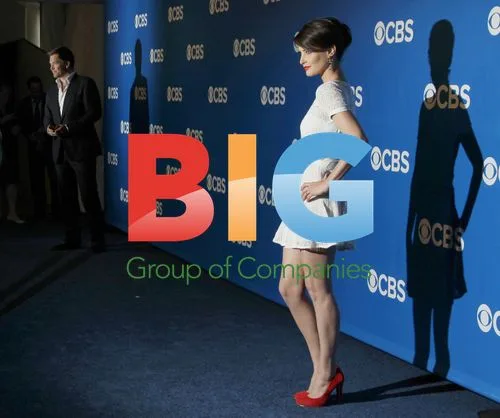 Cobie Smulders and Michael Weatherly at CBS Upfronts