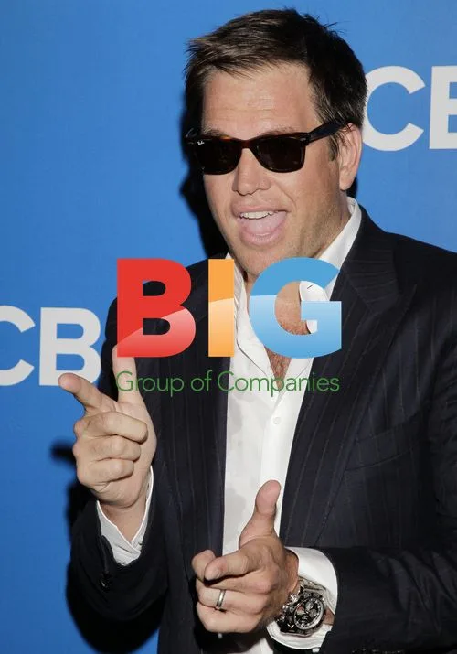 Michael Weatherly Arrives at CBS Upfronts