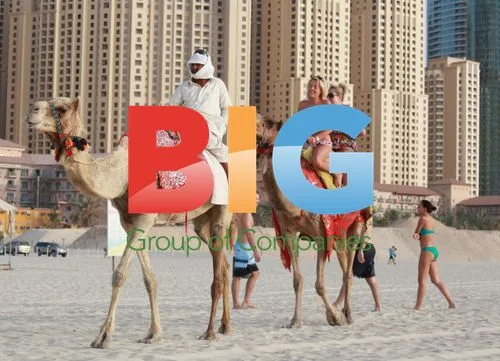 Lydia Bright Camel Ride in Dubai