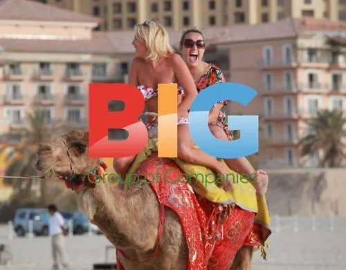 Lydia Bright Camel Ride in Dubai