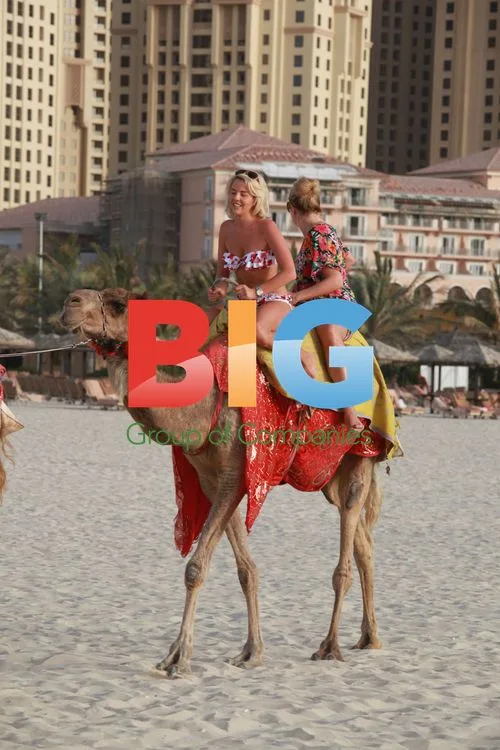 Towie Babe Lydia Bright on Camel in Dubai
