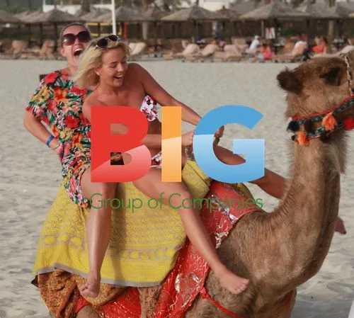 Lydia Bright Rides Camel in Dubai